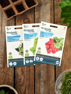 Søstrene Grene Buzzy® økologisk Raxe Radisefrø