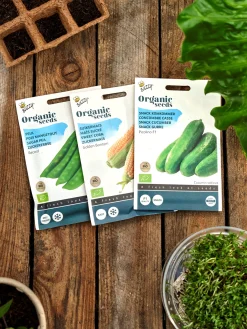 Søstrene Grene Buzzy® økologiske Record ærtefrø