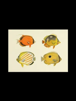 Søstrene Grene Plakat A3