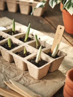 Søstrene Grene Plantepinde