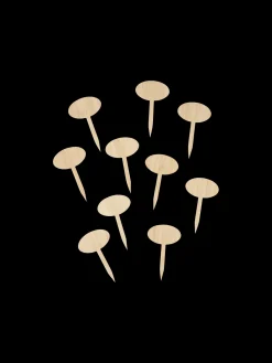 Søstrene Grene Plantepinde