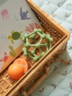 Børn Søstrene Grene Rangle