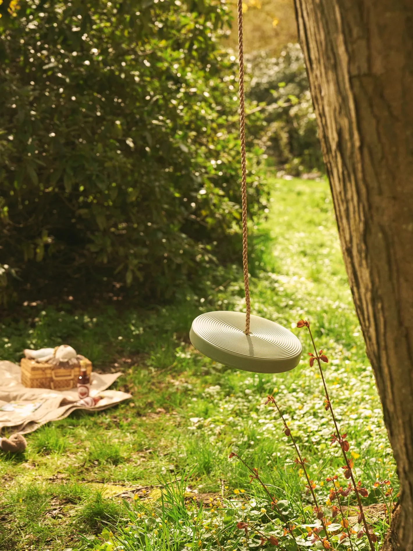 Børn Søstrene Grene Rebgynge Til Børn