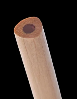 Børn Søstrene Grene Stor Farveblyant