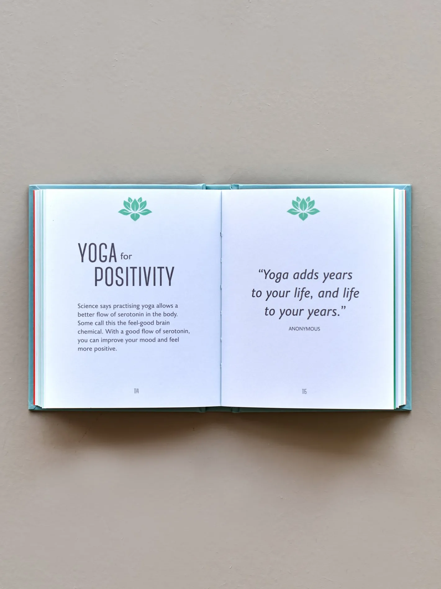 Søstrene Grene The Little Book Of Yoga