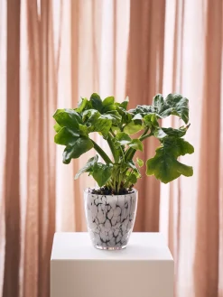 Søstrene Grene Urtepotteskjuler