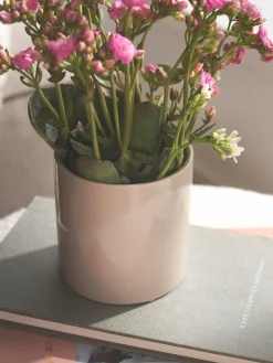 Søstrene Grene Urtepotteskjuler