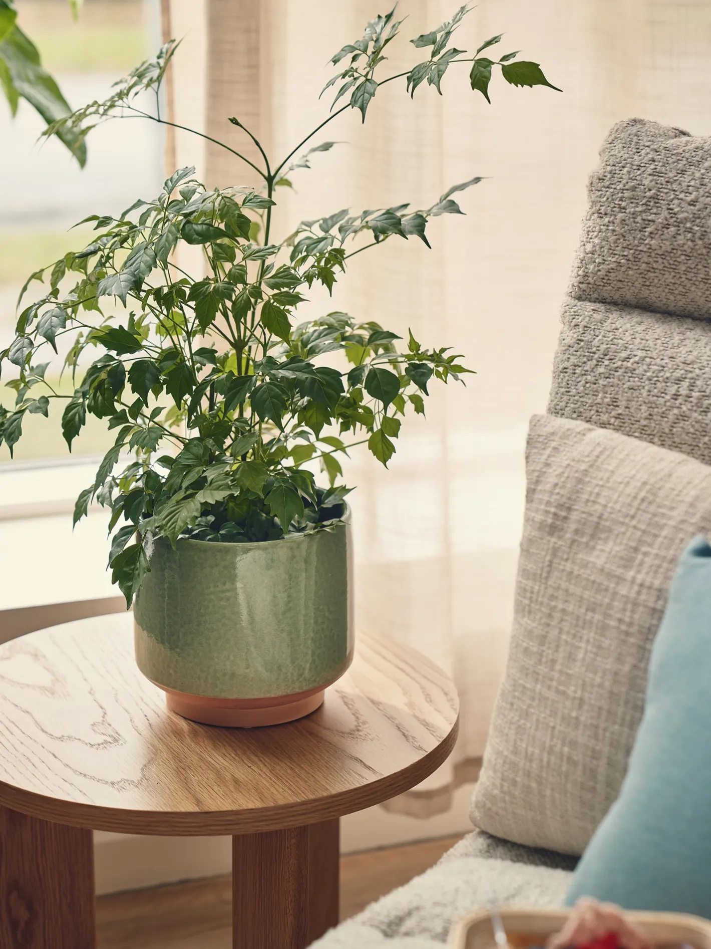 Søstrene Grene Urtepotteskjuler